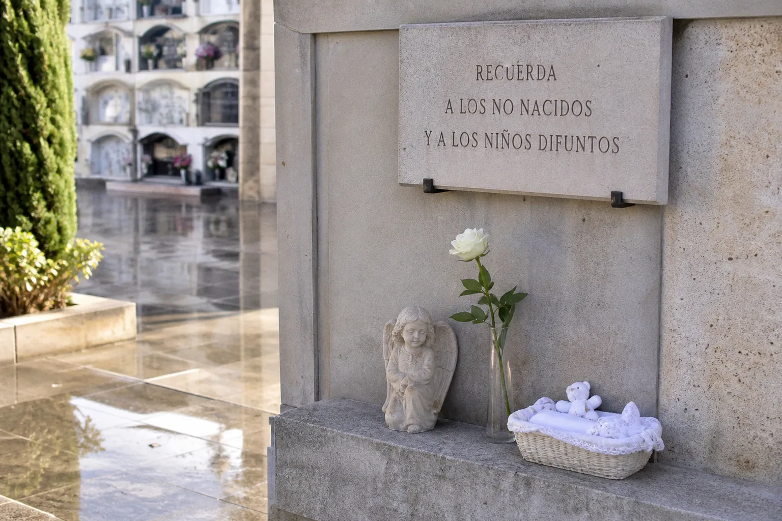 La Iglesia reclama un protocolo nacional para la sepultura digna de bebés abandonados